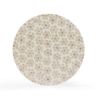 Lorna Capiz Shell Accent Stool
